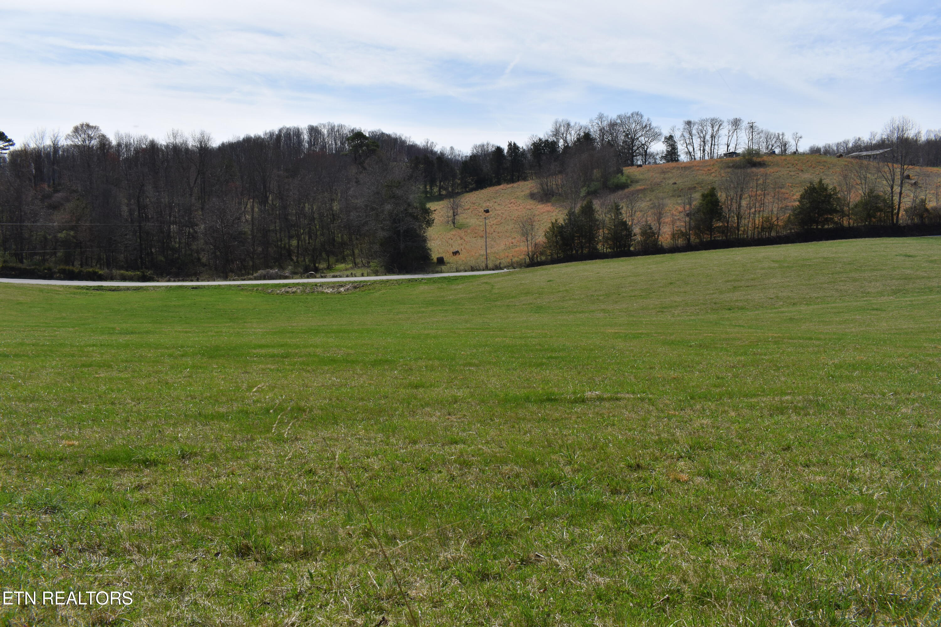 1847 Mount Zion Road Tazewell, TN 37879 - Photo 19 of 60 DSC_0077