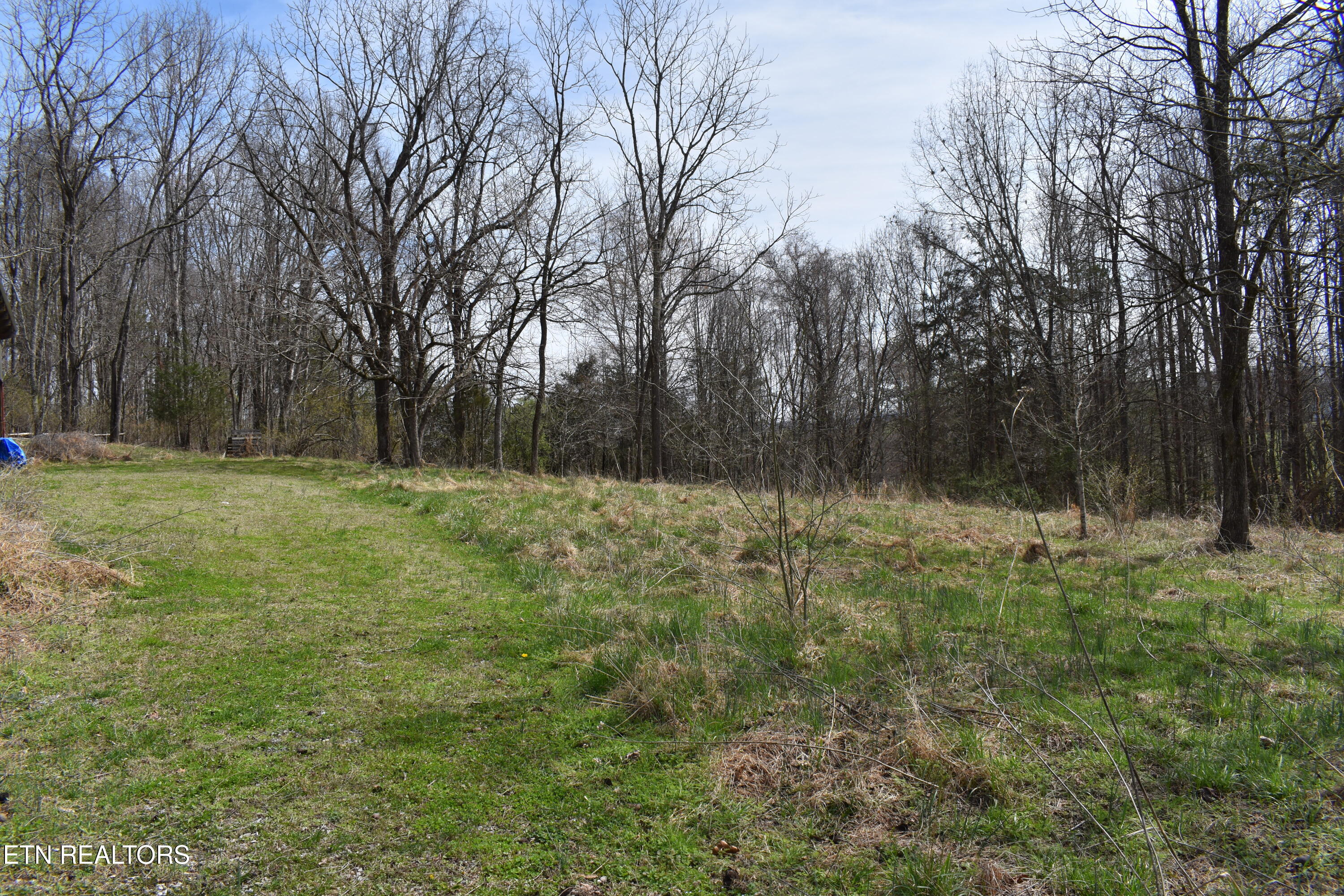 1847 Mount Zion Road Tazewell, TN 37879 - Photo 52 of 60 DSC_0113