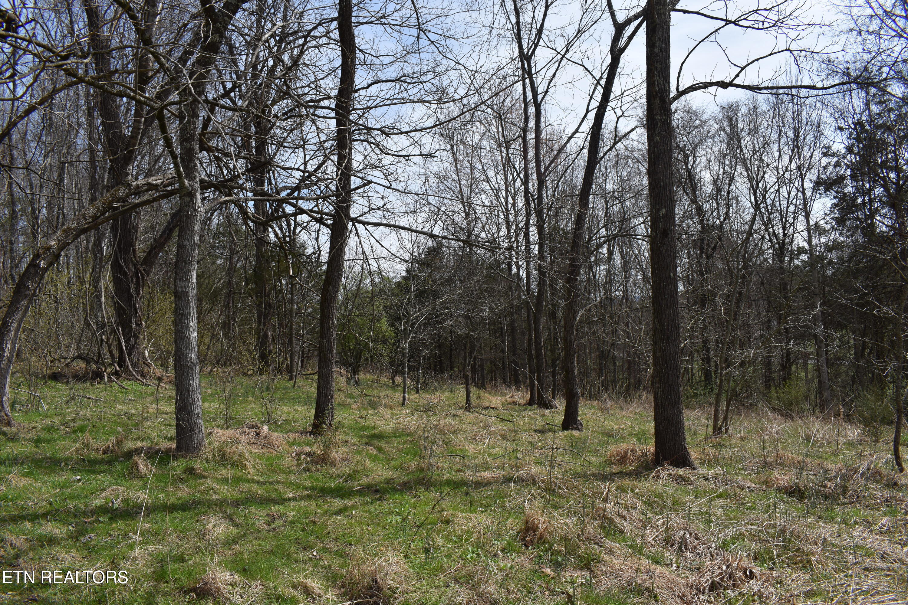 1847 Mount Zion Road Tazewell, TN 37879 - Photo 54 of 60 DSC_0116