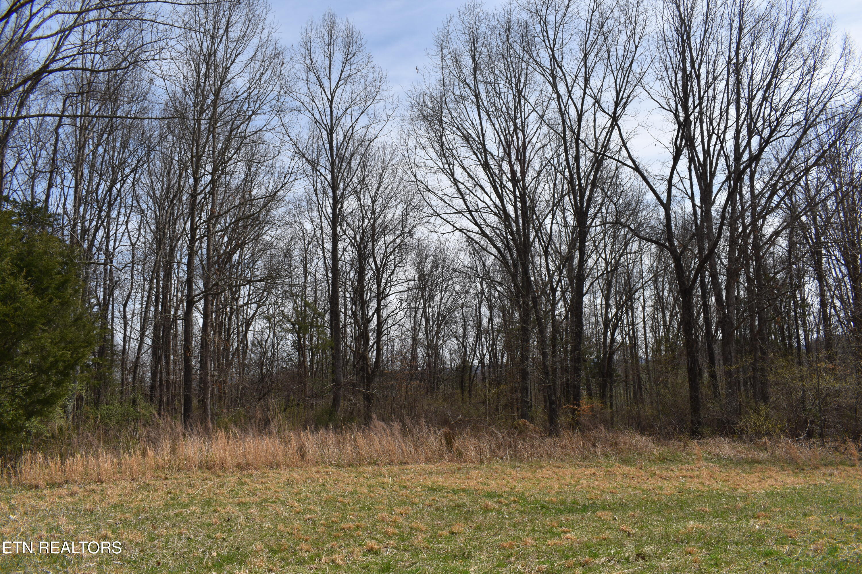 1847 Mount Zion Road Tazewell, TN 37879 - Photo 56 of 60 DSC_0118