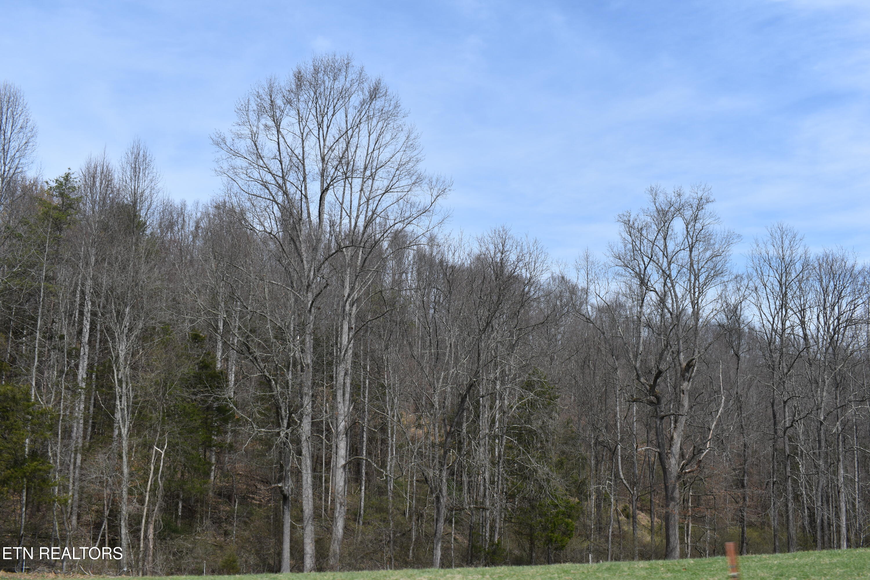 1847 Mount Zion Road Tazewell, TN 37879 - Photo 59 of 60 DSC_0129