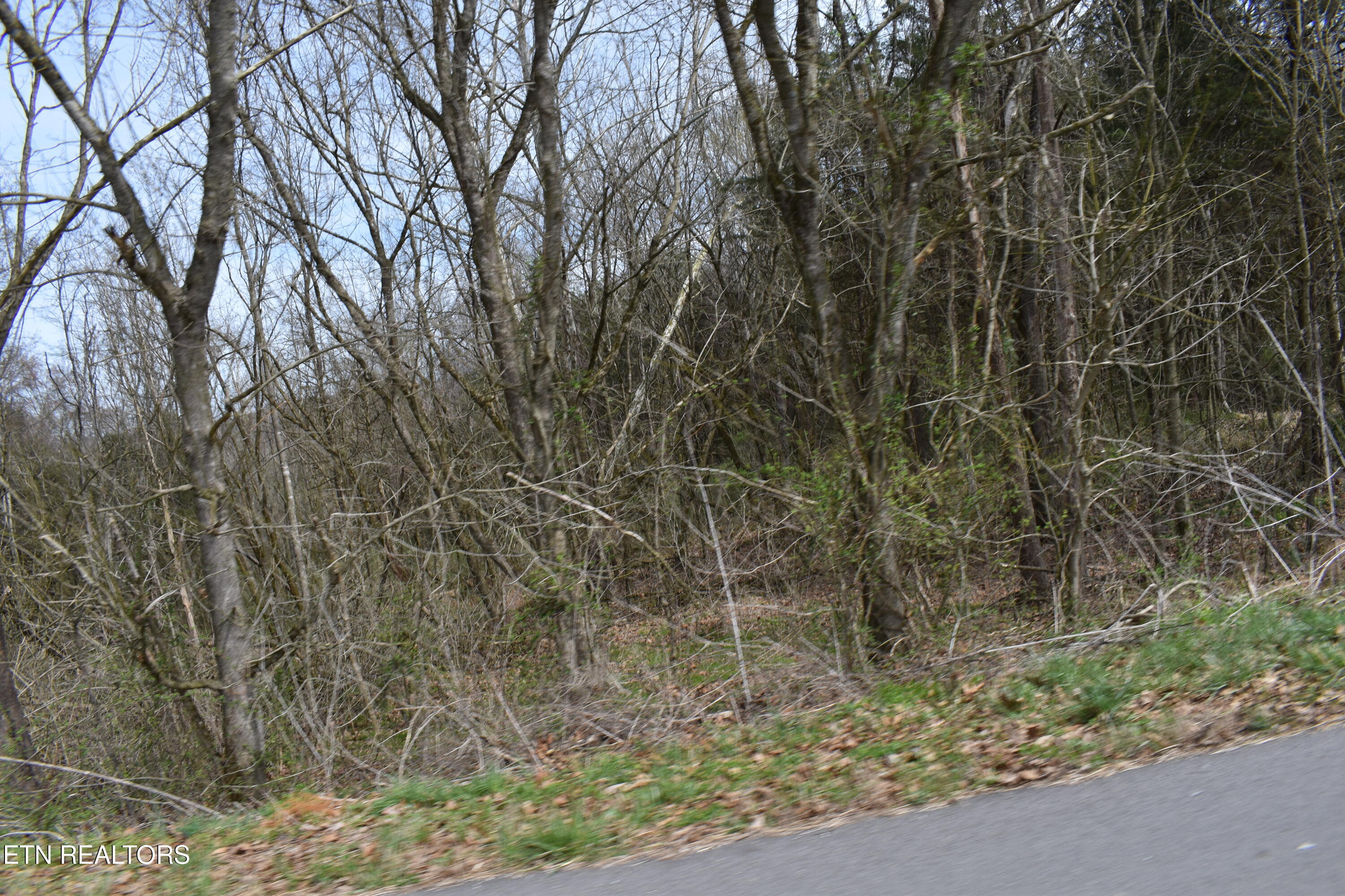 1847 Mount Zion Road Tazewell, TN 37879 - Photo 60 of 60 DSC_0131