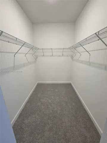 a bathroom with a shower and a toilet