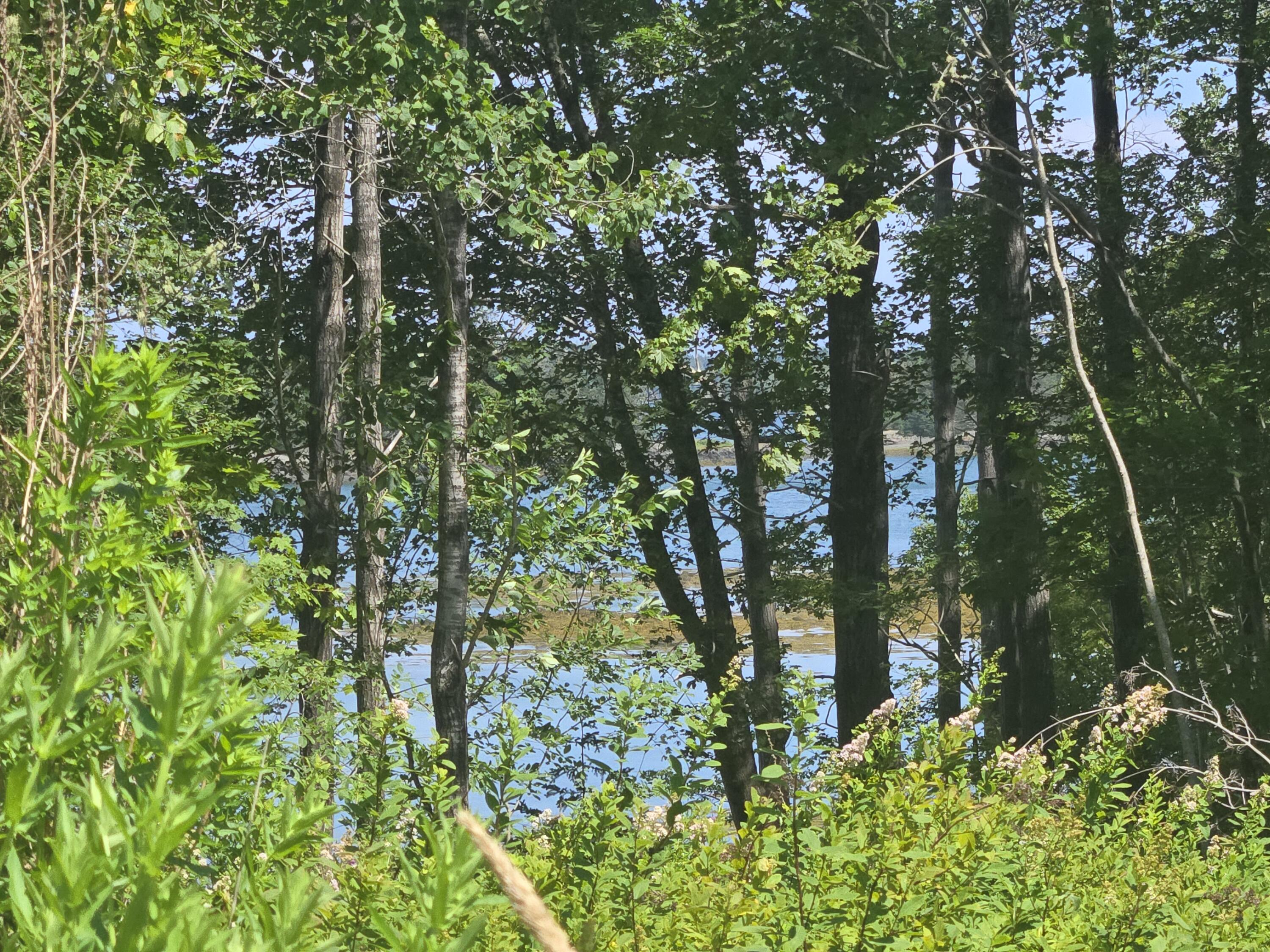 498 North Lubec Road Lubec, ME 04652 - Photo 21 of 46 20250724_143816