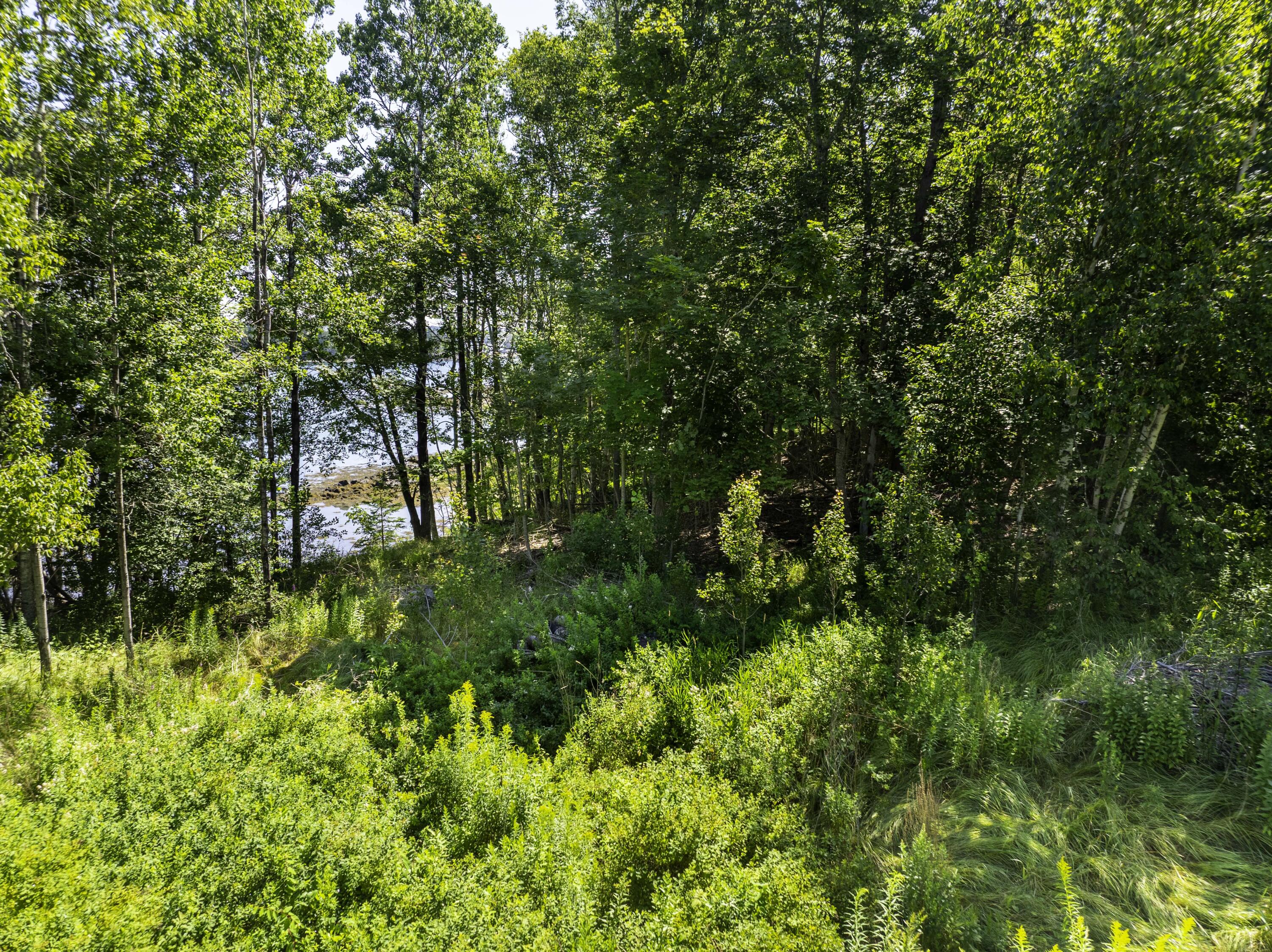 498 North Lubec Road Lubec, ME 04652 - Photo 31 of 46 498 N. Lubec Rd (24 of 35)