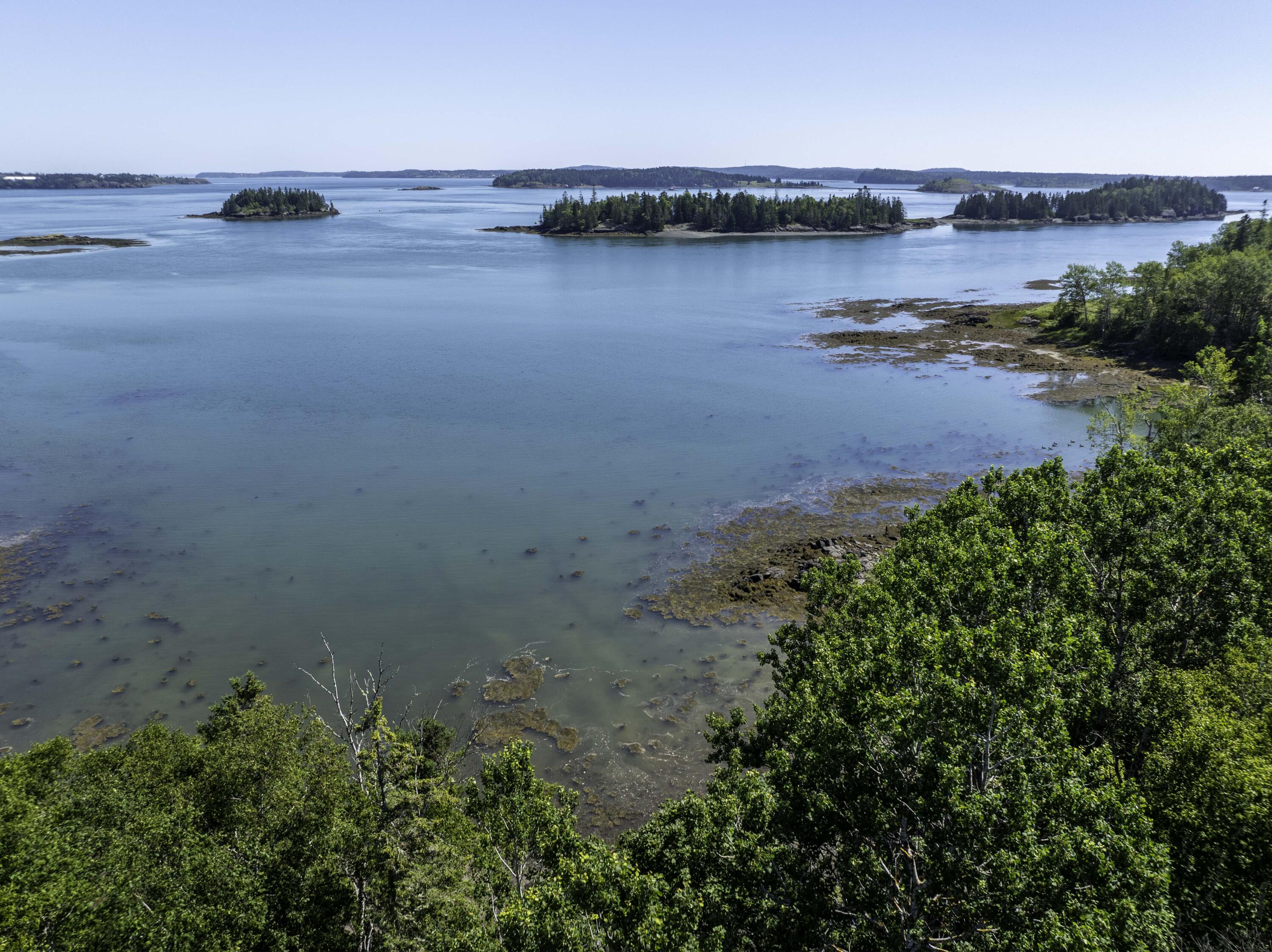 498 North Lubec Road Lubec, ME 04652 - Photo 33 of 46 498 N. Lubec Rd (28 of 35)