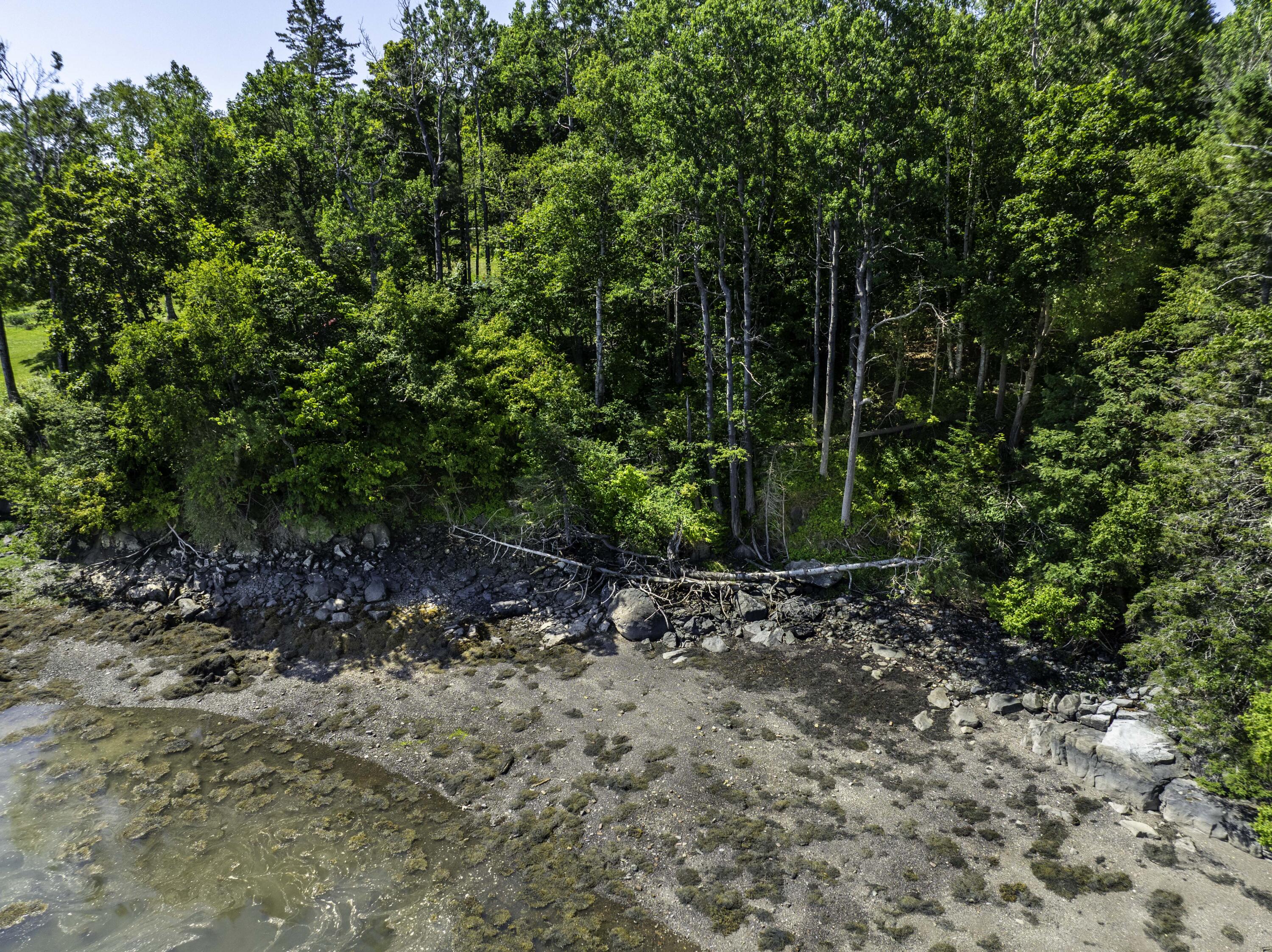 498 North Lubec Road Lubec, ME 04652 - Photo 6 of 46 498 N. Lubec Rd (35 of 35)