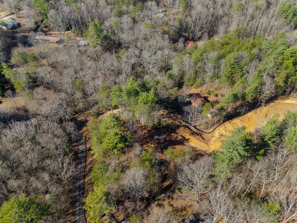 261 Shuler Mountain Road Murphy, NC 28906 - Photo 46 of 49