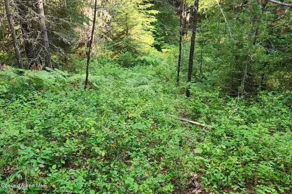 $325,000 | Nna Reeder Bay Road, Nordman, ID 83848