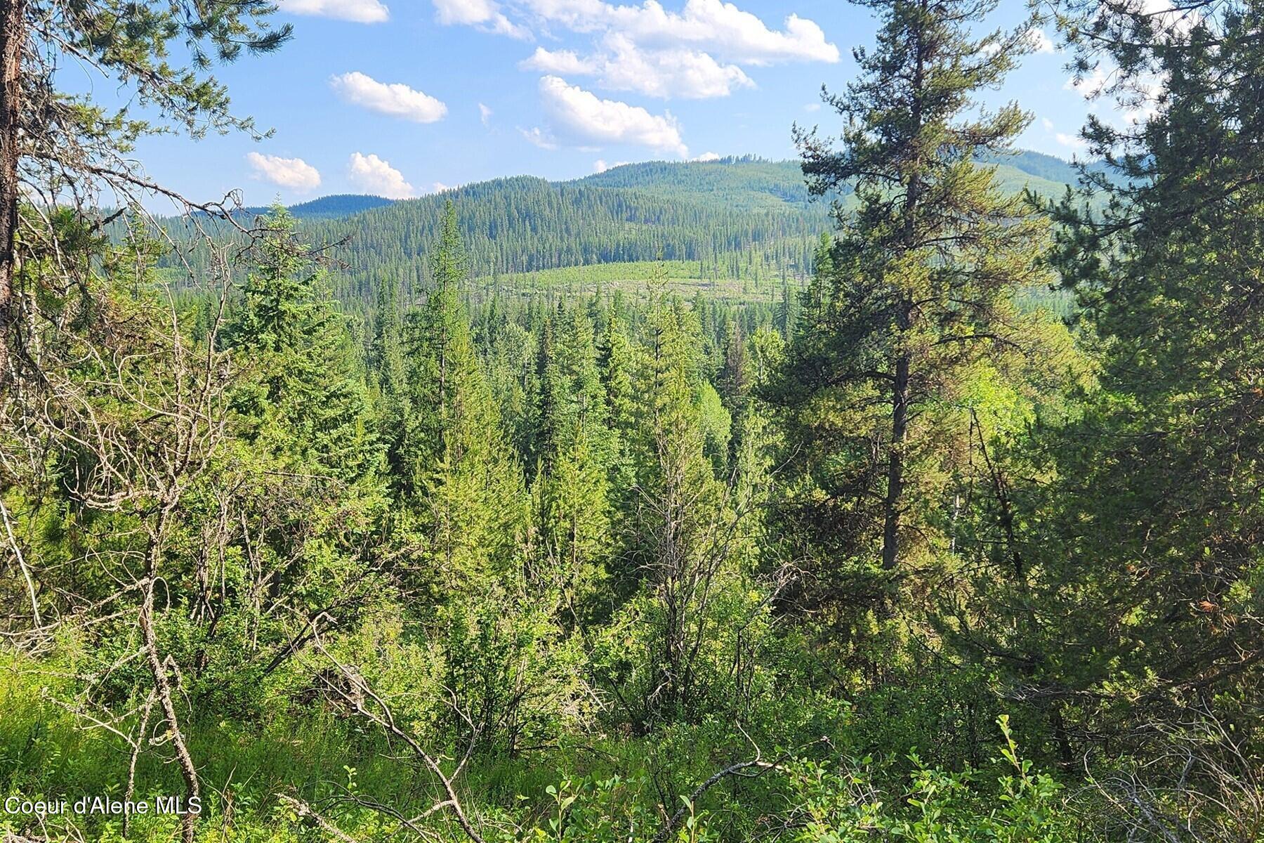 Nna Reeder Bay Road Nordman, ID 83848 - Photo 2 of 12 Forested