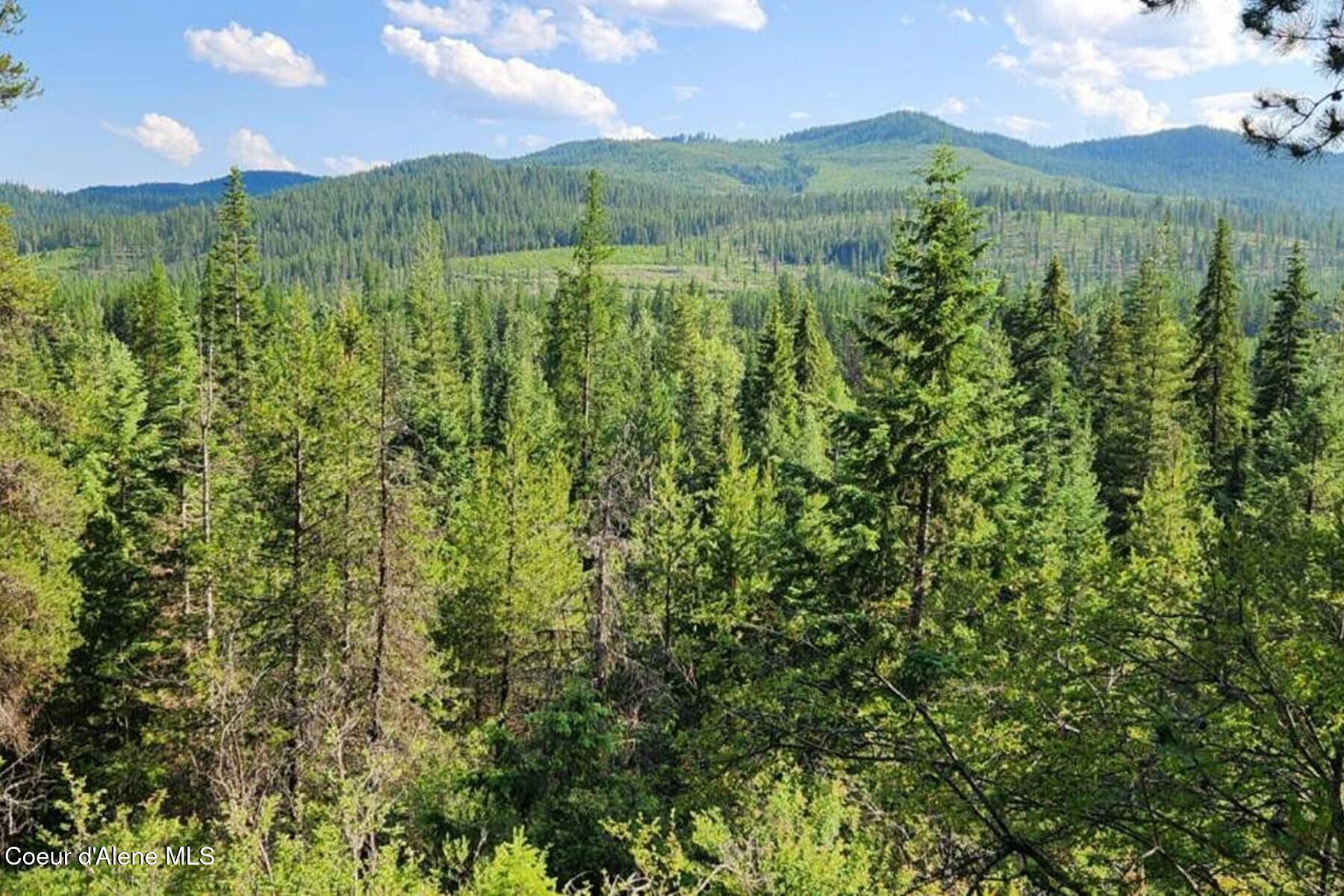 Nna Reeder Bay Road Nordman, ID 83848 - Photo 5 of 12 View from the top