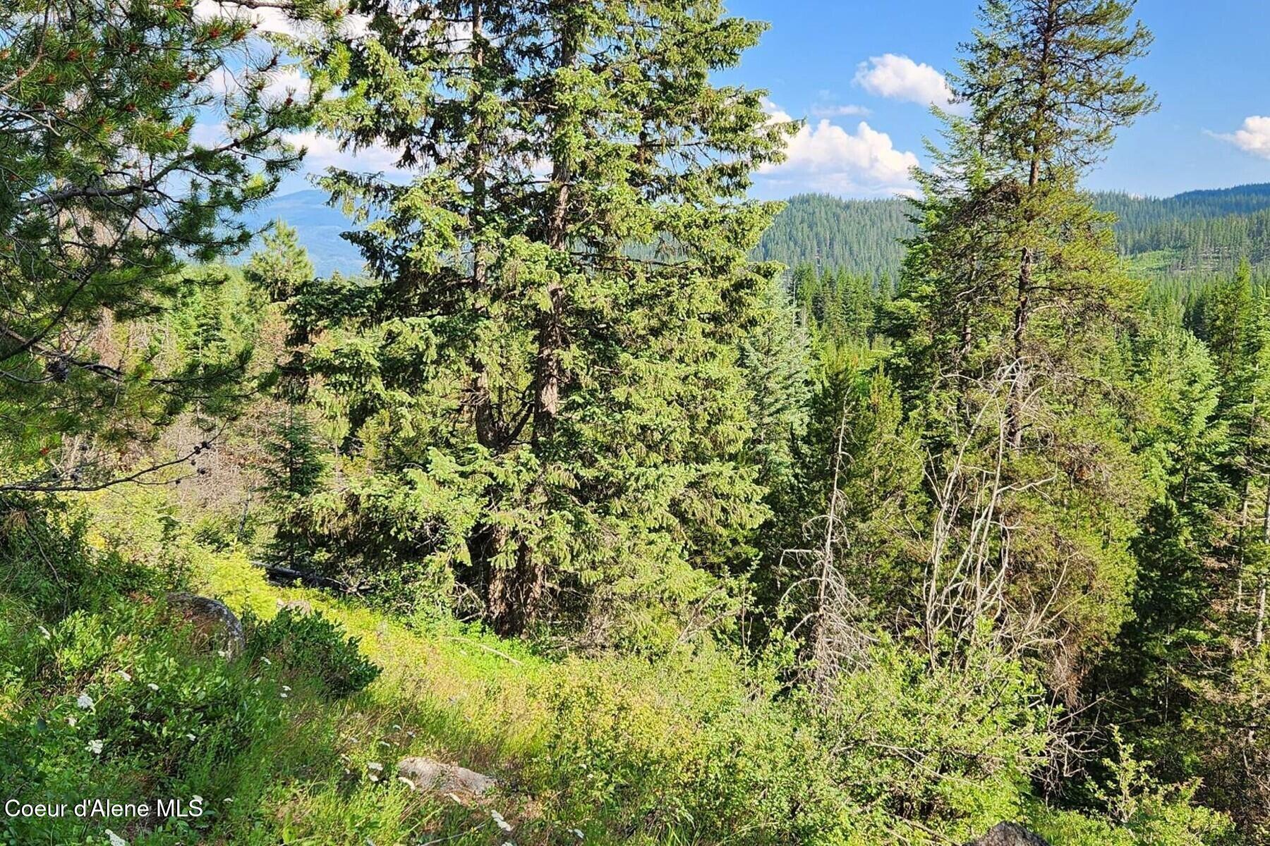 Nna Reeder Bay Road Nordman, ID 83848 - Photo 6 of 12 85217502