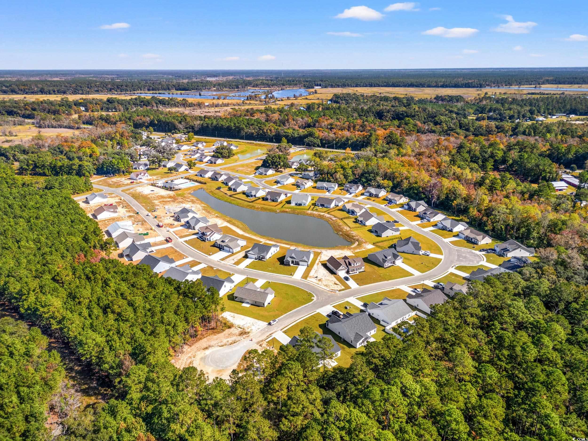 44 Double Pond Drive Georgetown, SC 29440 - Photo 5 of 17