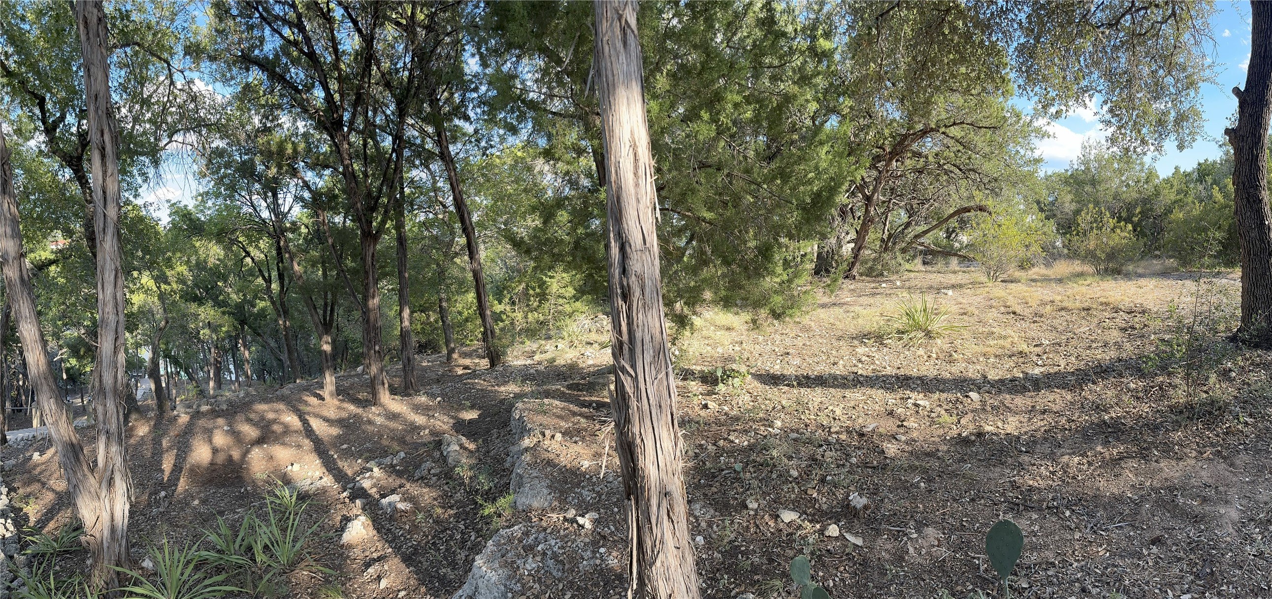 4613 Destination Way Jonestown, TX 78645 - Photo 4 of 14 a view of a forest filled with trees