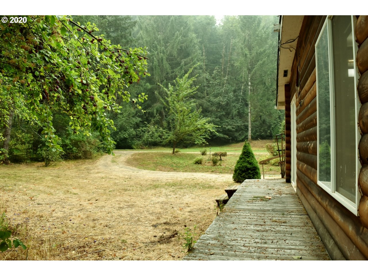 42328 Winberry Creek Road Fall Creek, OR 97438 - Photo 20 of 31