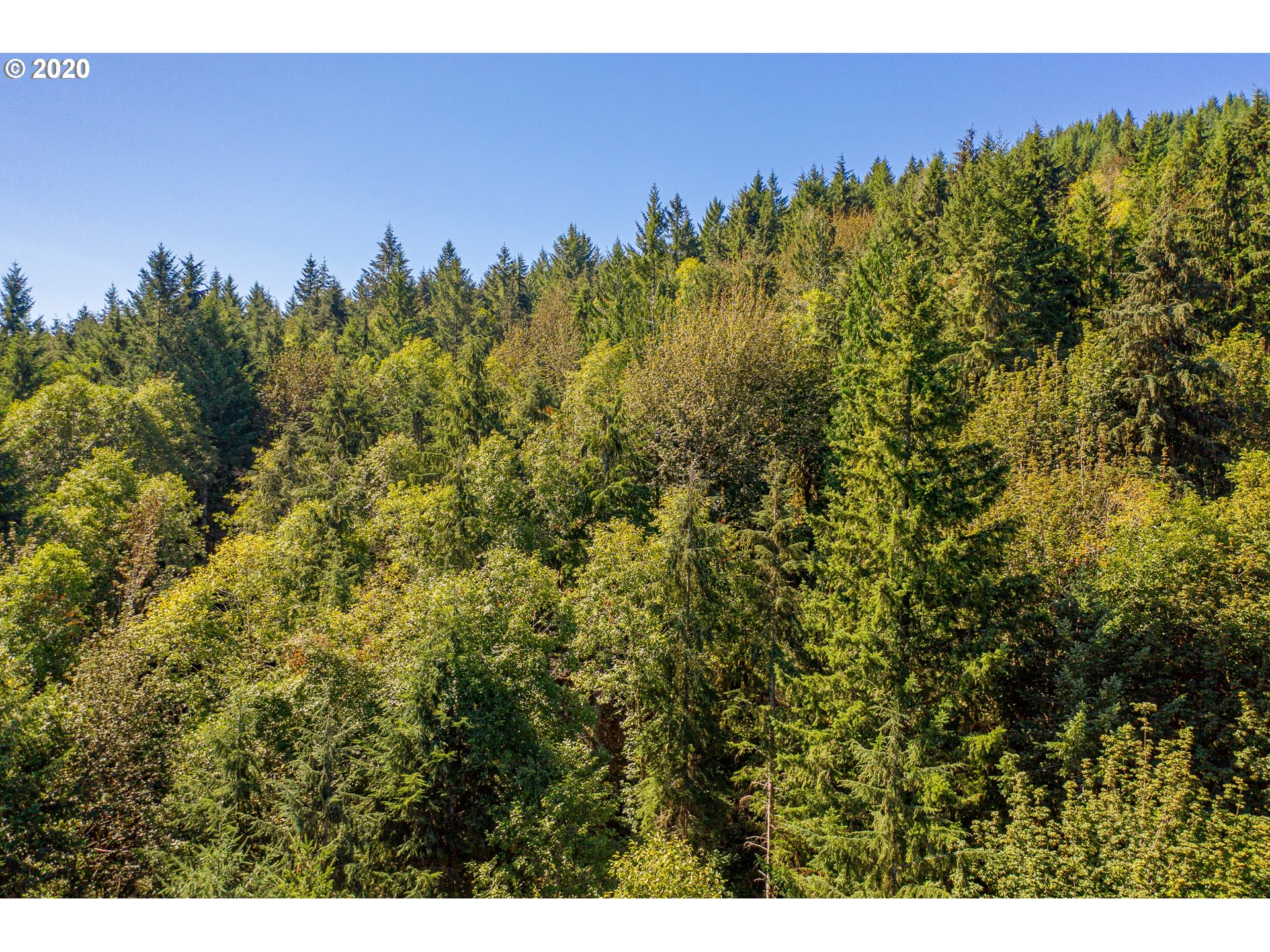 42328 Winberry Creek Road Fall Creek, OR 97438 - Photo 25 of 31