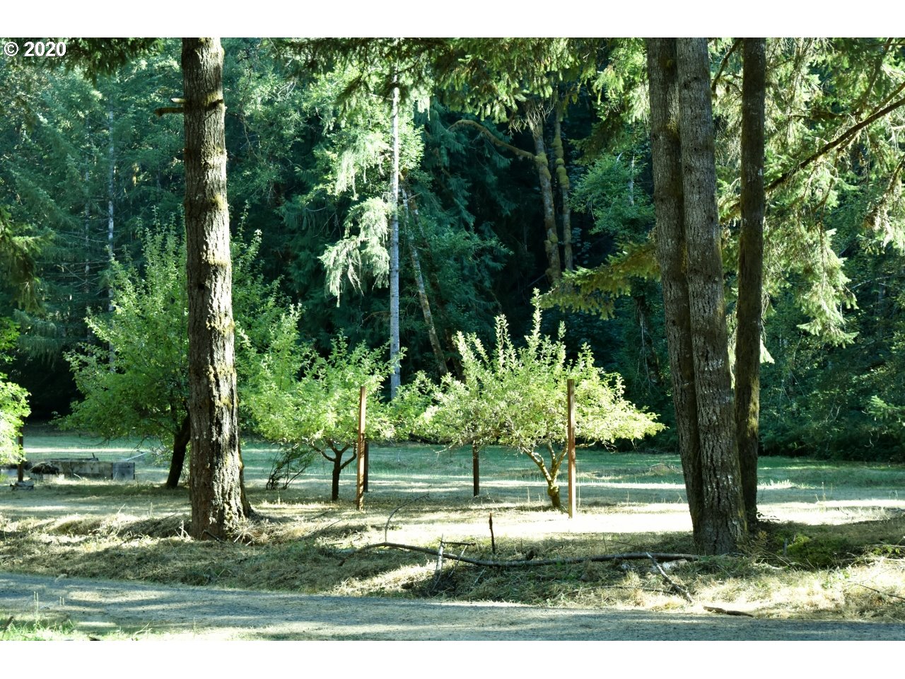 42328 Winberry Creek Road Fall Creek, OR 97438 - Photo 28 of 31