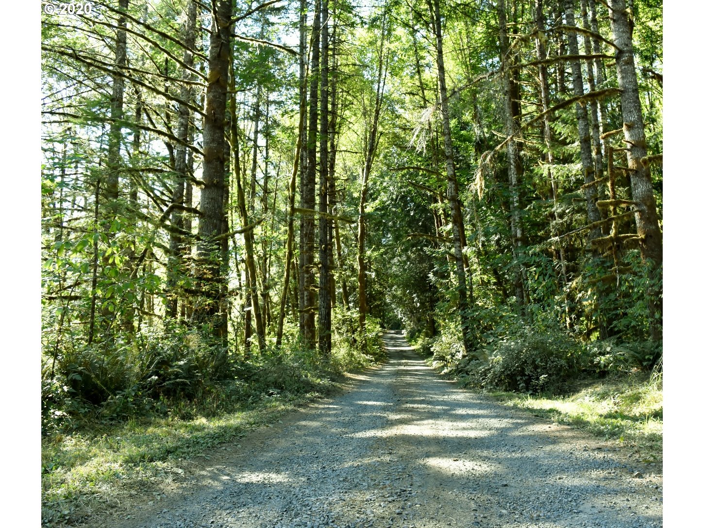 42328 Winberry Creek Road Fall Creek, OR 97438 - Photo 6 of 31