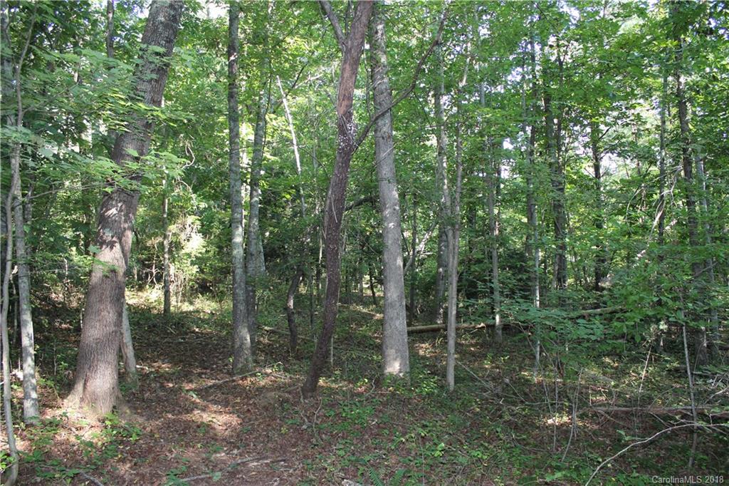 9999 Shuler Road Candler, NC 28715 - Photo 5 of 8 Gallery Image 5