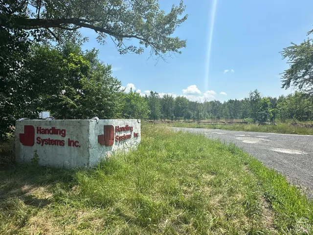 a view of a yard with plants and a large trees