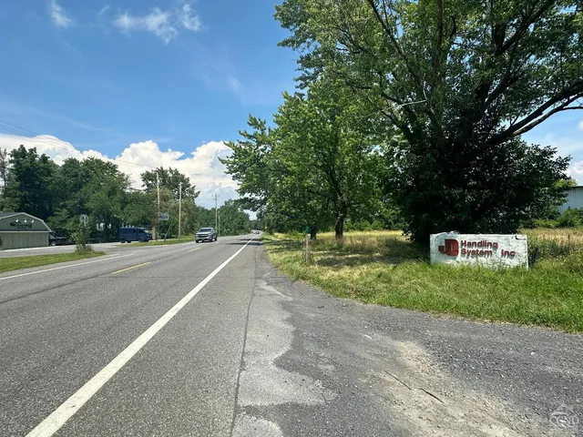 a view of a field with plants and trees