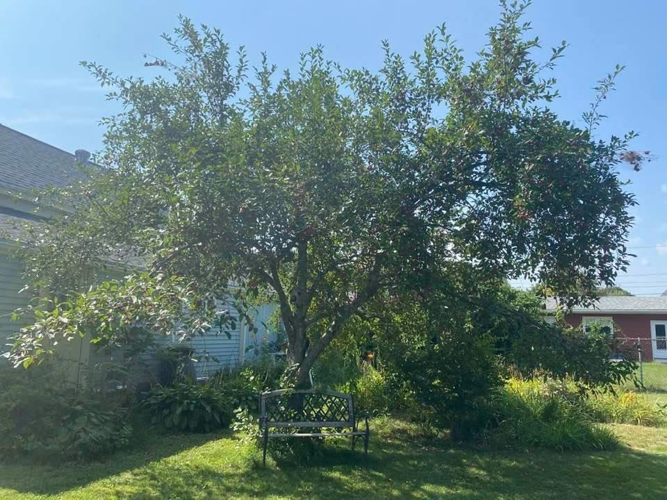 9 High Street Rochester, NH 03867 - Photo 24 of 32