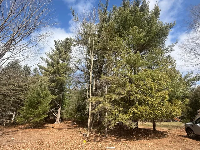 $185,000 | 1112 2nd Street, Pentwater, MI 49449