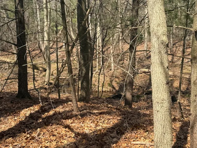 $185,000 | 1112 2nd Street, Pentwater, MI 49449