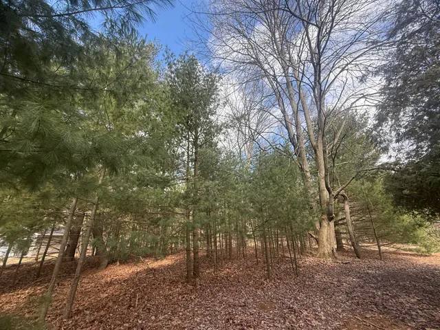 $185,000 | 1112 2nd Street, Pentwater, MI 49449