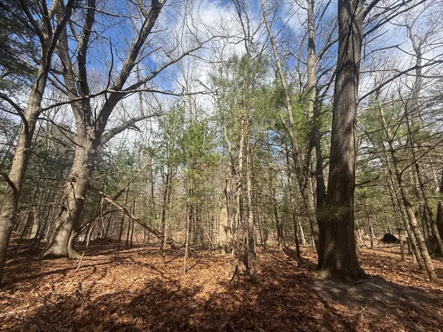 $185,000 | 1112 2nd Street, Pentwater, MI 49449