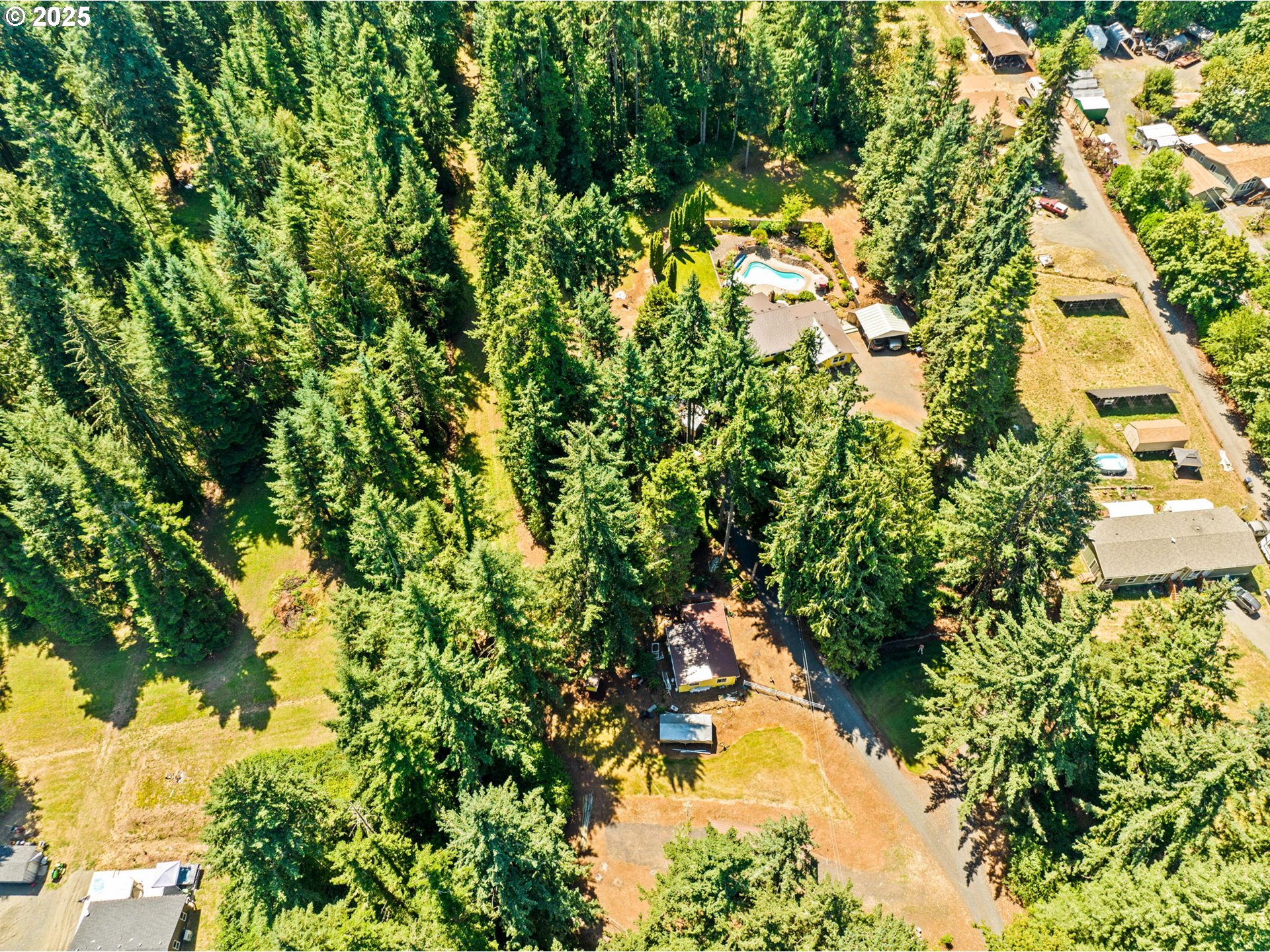 38754 Place Road Fall Creek, OR 97438 - Photo 37 of 48 a view of a yard with plants