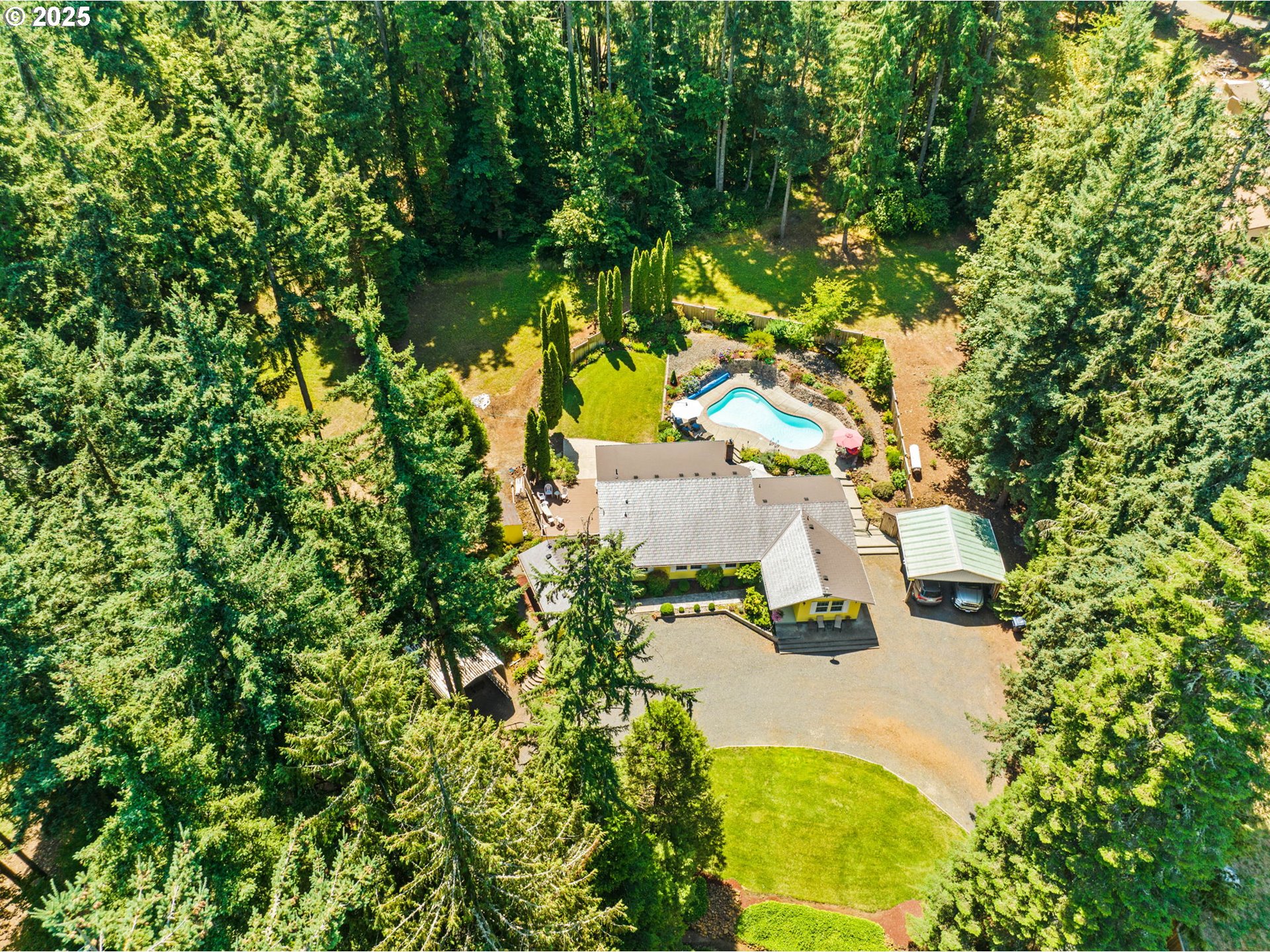 38754 Place Road Fall Creek, OR 97438 - Photo 38 of 48 a view of a yard with plants and large trees