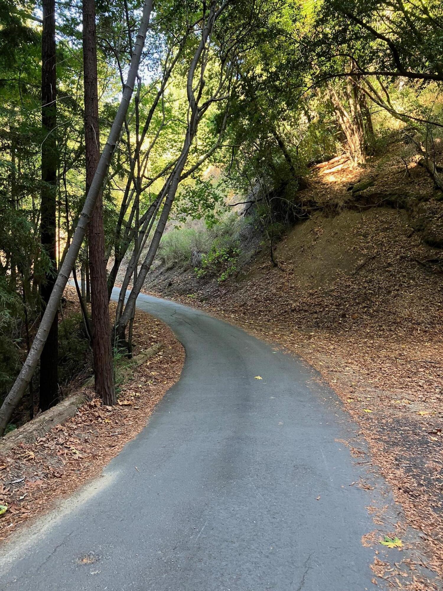 0 Old Logging Road Los Gatos, CA 95033 - Photo 13 of 17 JESSIE WOODS IMG_2729