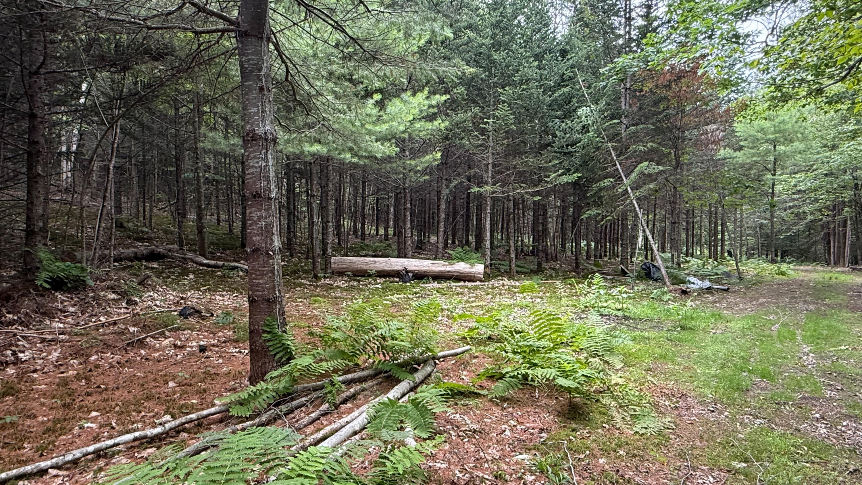 50 Glass Hill Road Guilford, ME 04443 - Photo 102 of 112 IMG_E3642