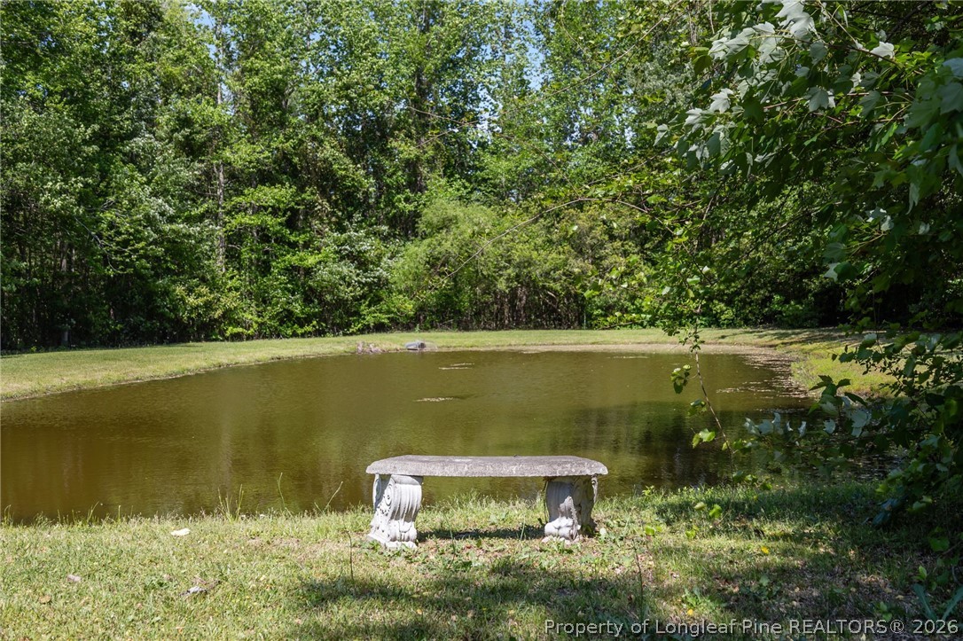 1096 Dean Road St. Pauls, NC 28384 - Photo 5 of 46 Your own water feature!