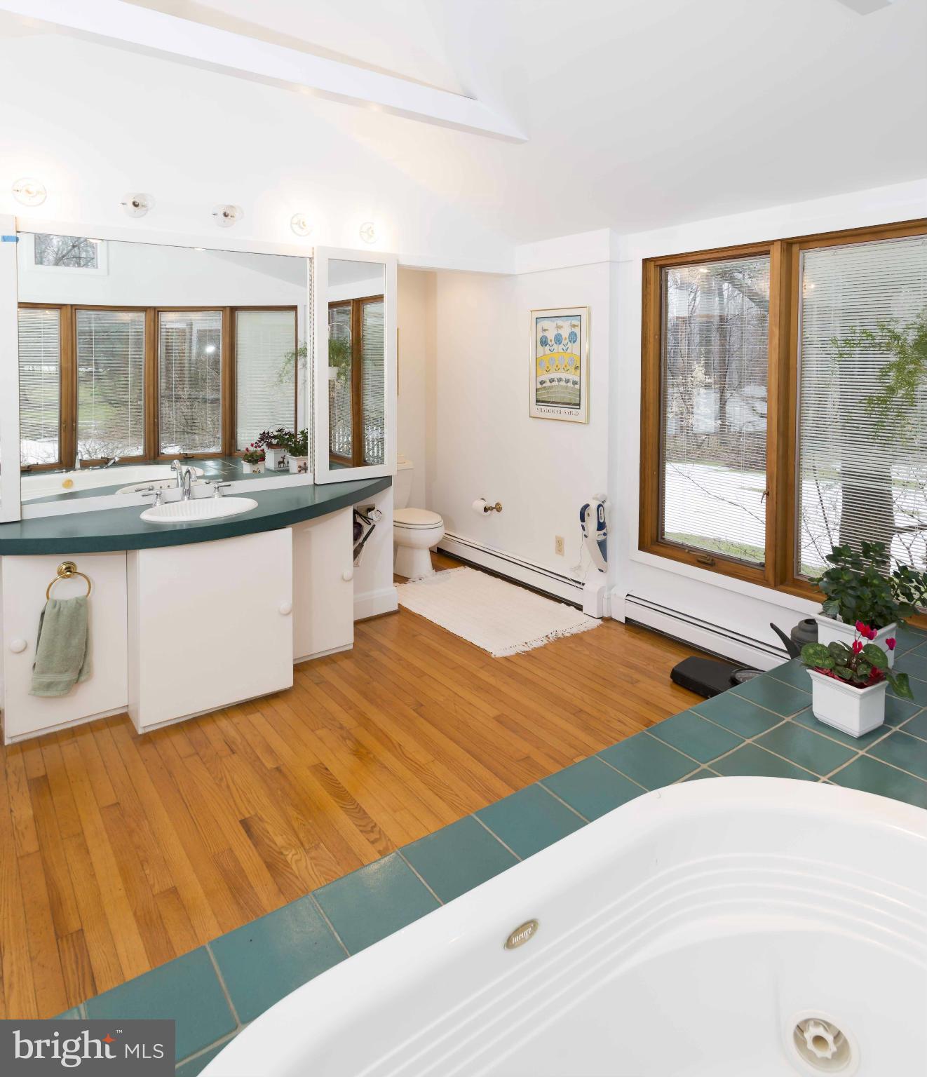 2721 Caves Road Owings Mills, MD 21117 - Photo 16 of 22 Bath (Master)