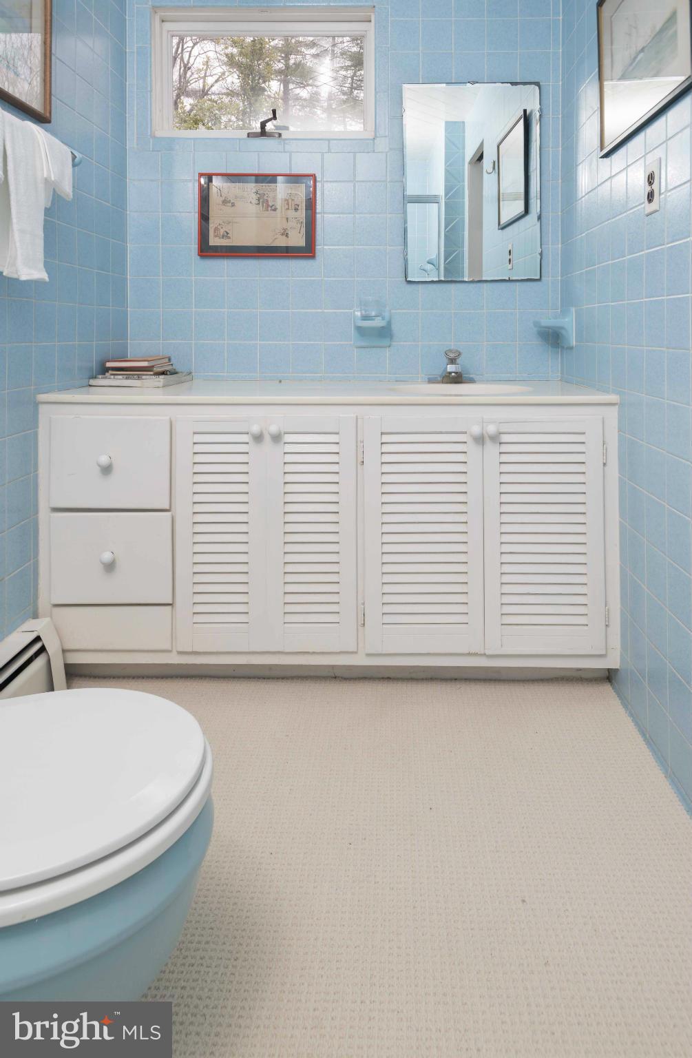 2721 Caves Road Owings Mills, MD 21117 - Photo 19 of 22 Bath