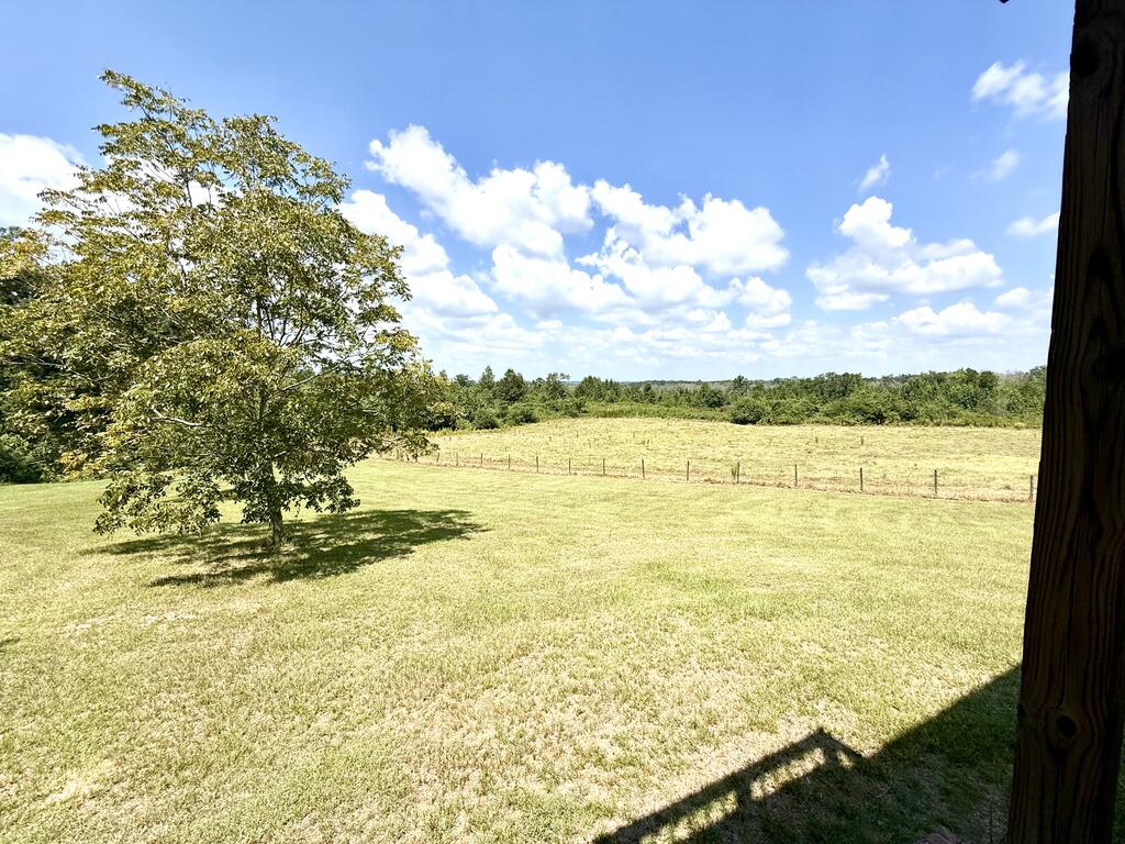 218 Chaney Branch Road Clio, AL 36017 - Photo 59 of 72 Gallery Image 59