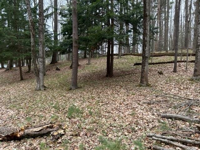 Reynolds Road, Unit LOT: B Lake Ann, MI 49650 - Photo 17 of 21