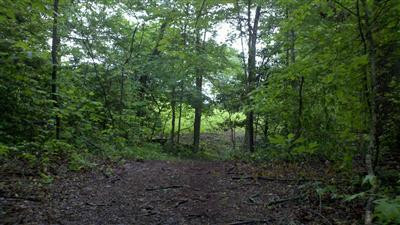 0 Hoskins Cemetary Road London, KY 40741 - Photo 2 of 11 Photo 2