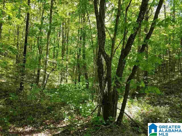 Boat Landing Road, Unit 42 Oneonta, AL 35121 - Photo 1 of 5