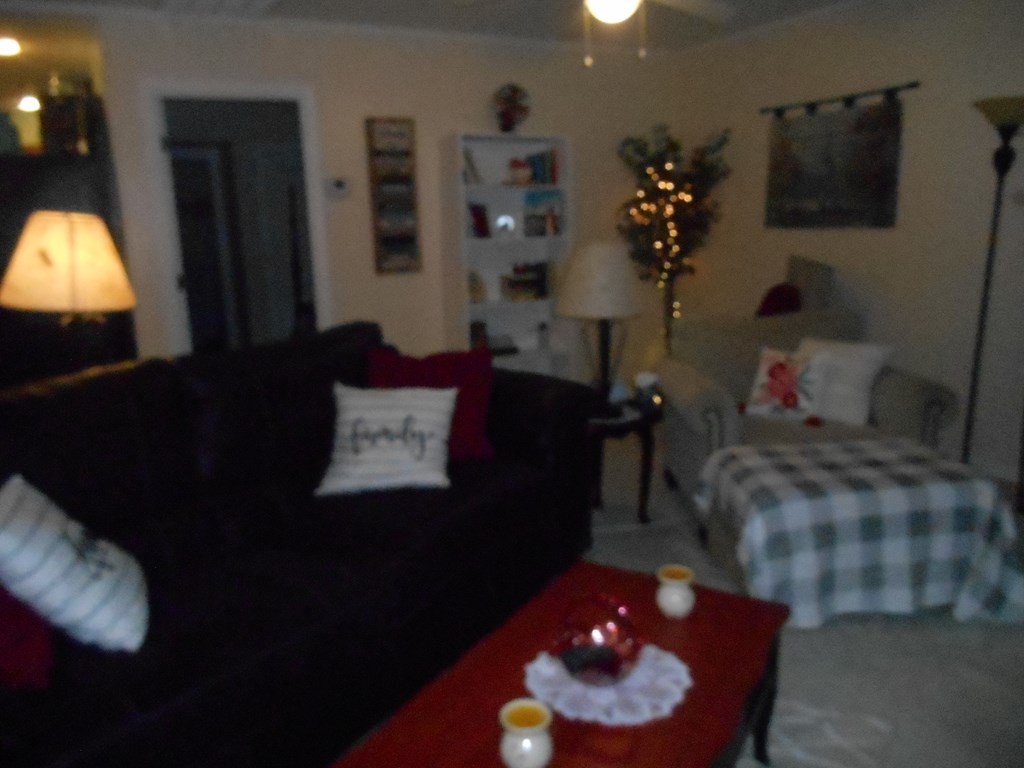 2837 Mary Ridge Sevierville, TN 37862 - Photo 10 of 23