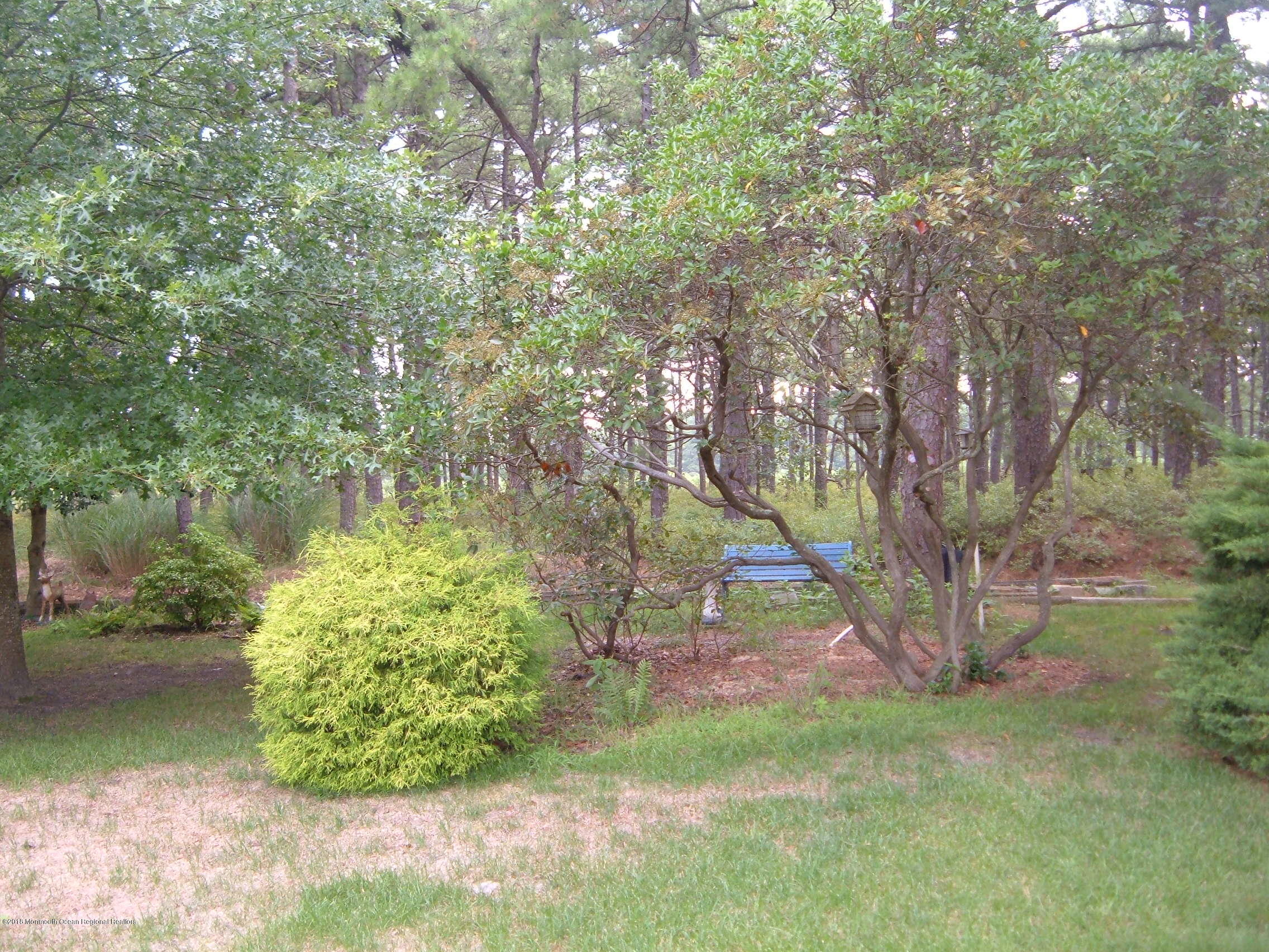 117 Sunset Road Whiting, NJ 08759 - Photo 3 of 36 2004_0128Image0004