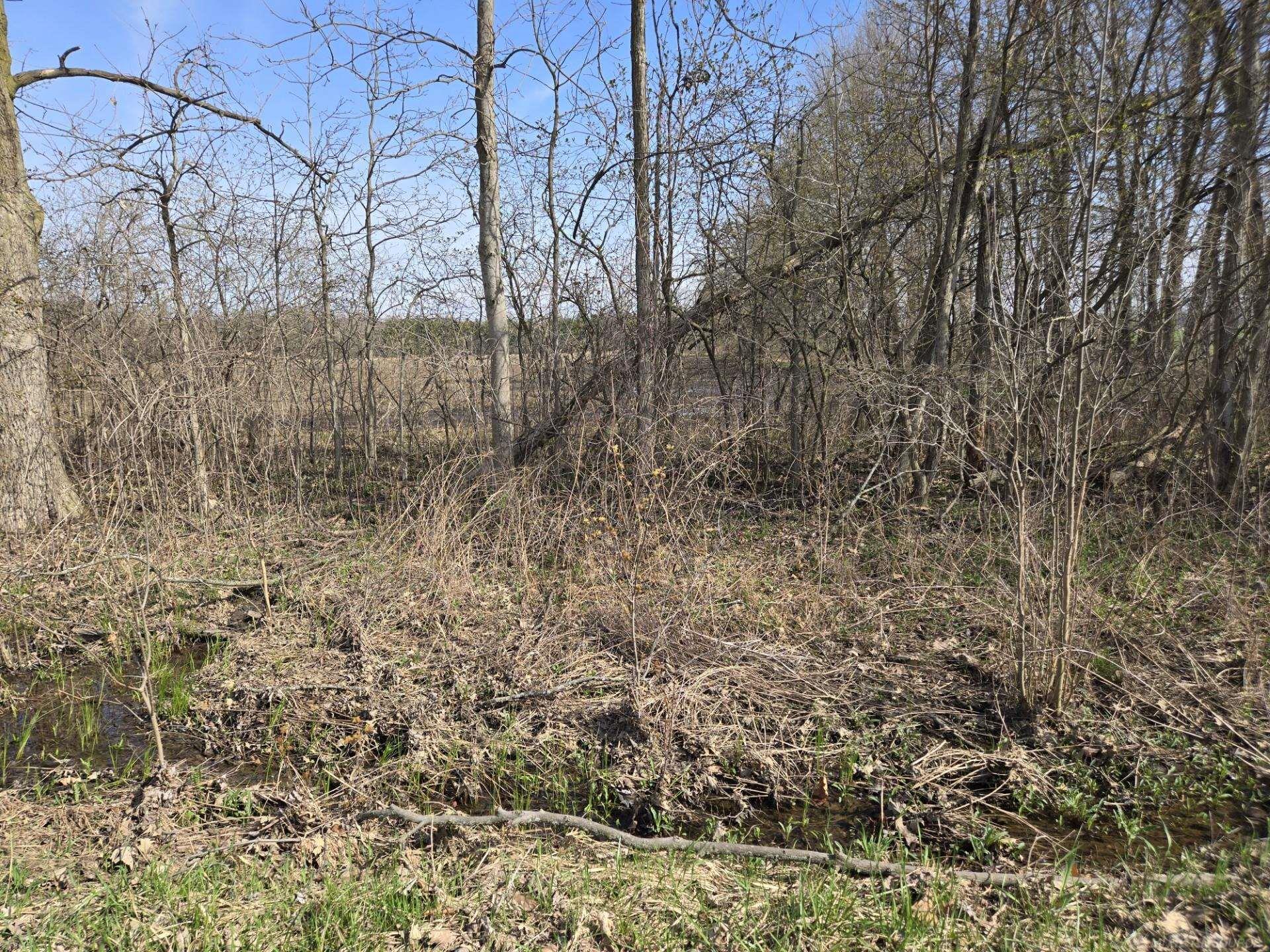 0 Weber (lot B) Road Columbus, MI 48063 - Photo 5 of 14