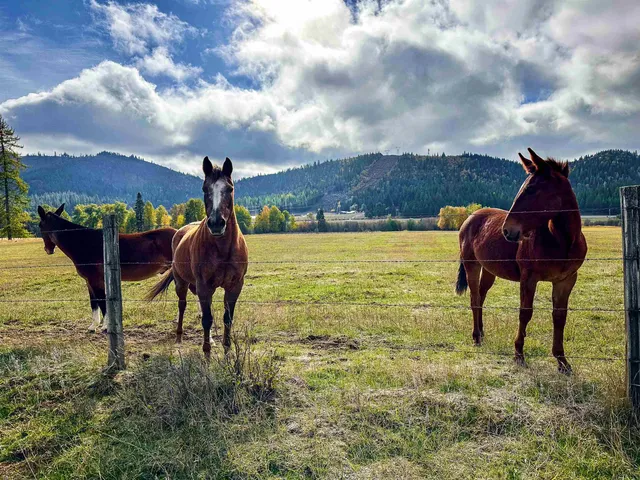 $895,000 | 320871 Highway 2, Newport, WA 99156