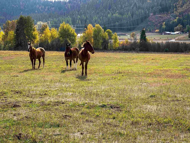 $895,000 | 320871 Highway 2, Newport, WA 99156