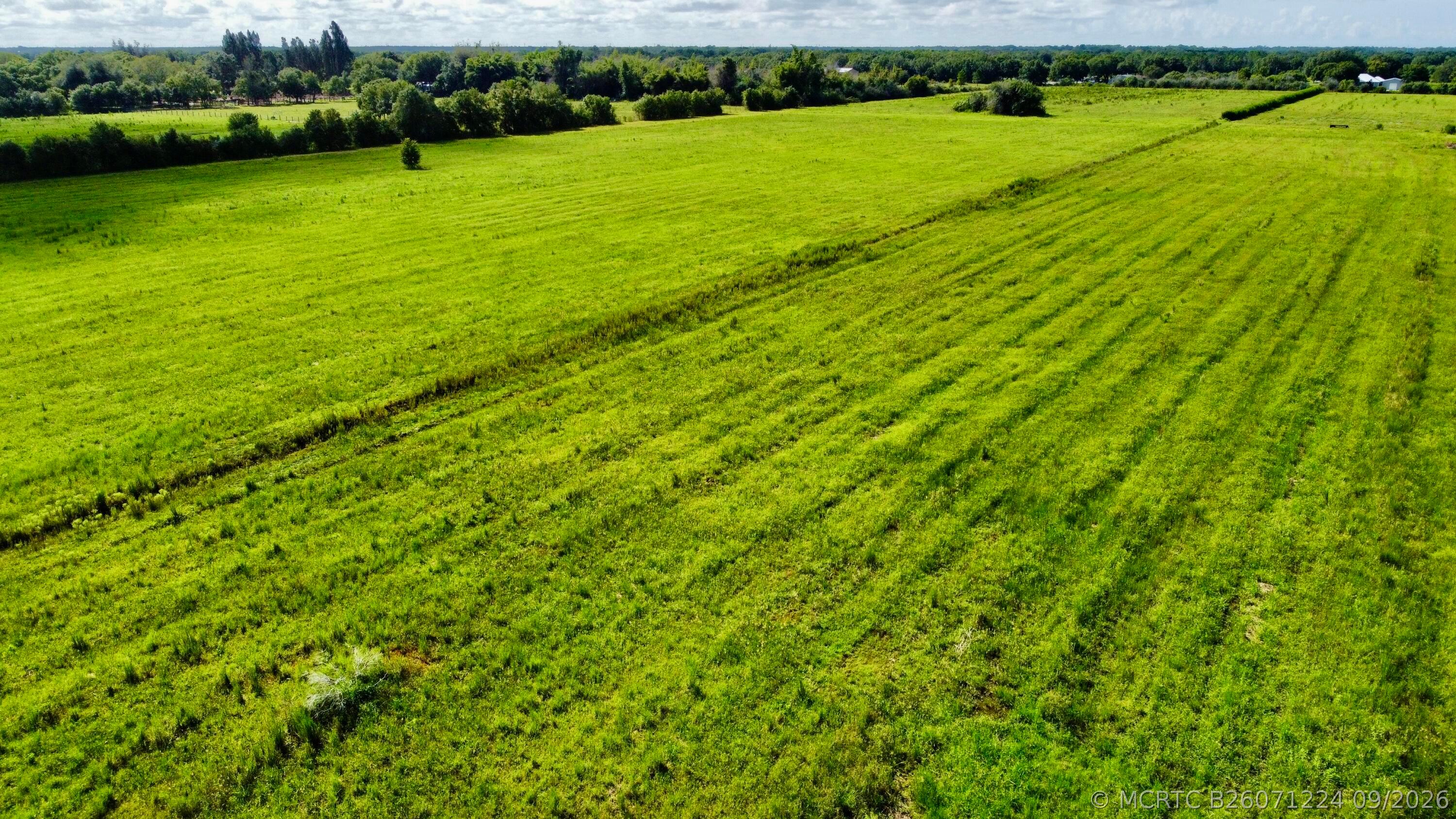 1934 Starns Loop Road Okeechobee, FL 34974 - Photo 12 of 13 dji_fly_20260831_102516_875_178818664105