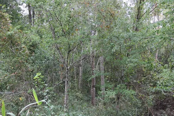 $748,320 | 0 Fellowship Road, Williston, SC 29853