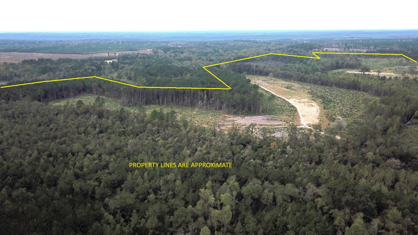 0 Fellowship Road Williston, SC 29853 - Photo 2 of 14 DJI_0027