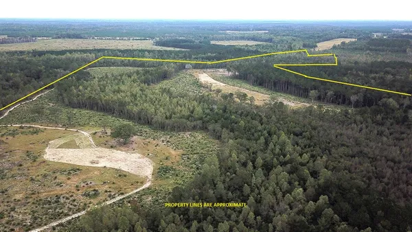 $748,320 | 0 Fellowship Road, Williston, SC 29853